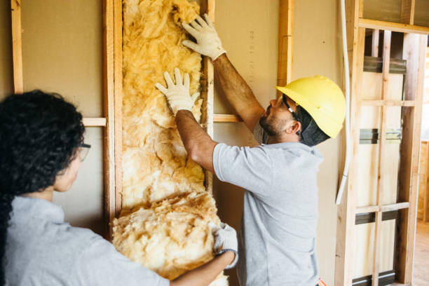 Best Blown-In Insulation  in Menahga, MN