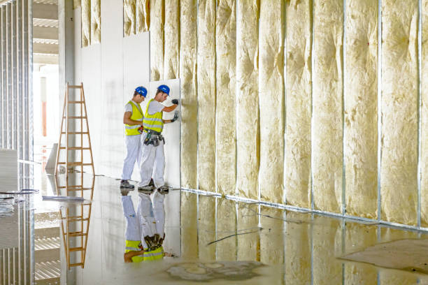 Best Spray Foam Insulation  in Menahga, MN